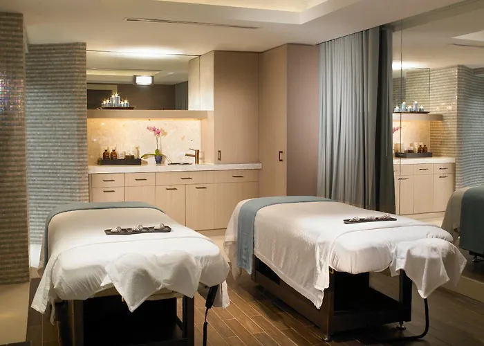 Pet Friendly hotel: The Palms Hotel & Spa